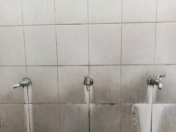 Best Water damage restoration services  in Pine Valley, CA