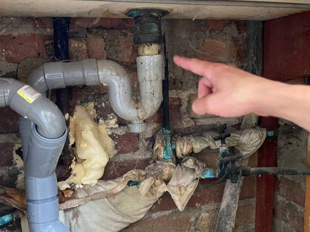 Best Commercial water damage restoration  in Pine Valley, CA