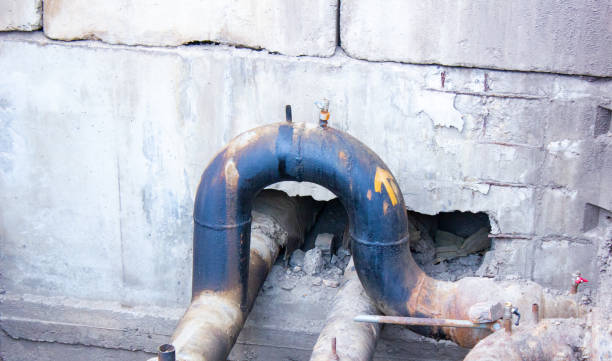 Best Mold removal after water damage  in Pine Valley, CA