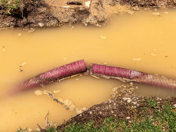 Best Commercial water damage restoration  in Pine Valley, CA